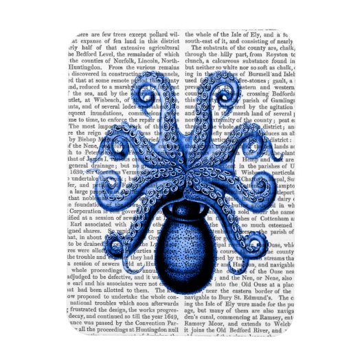 blauw octopus 1 onderzijde magneet (Verticaal)