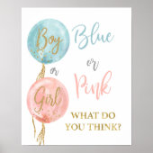 Blauw of roze wat je denkt dat gender openbaart poster (Voorkant)