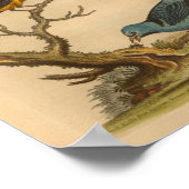  blauw Oranje afdrukken Poster (Hoek)