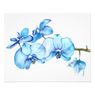 Blauw orchidee botanische afdrukken foto afdruk