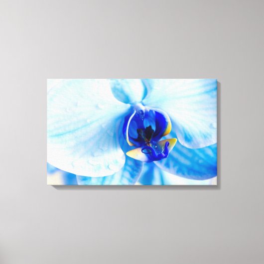 Blauw Orchidee Canvas Print (Voorkant)
