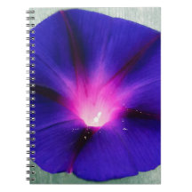 Blauw-paarse bloemen