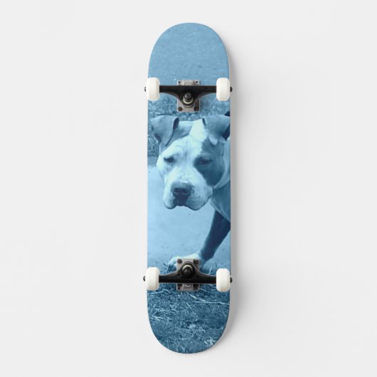 Blauw pit bull skateboard (Voorkant)