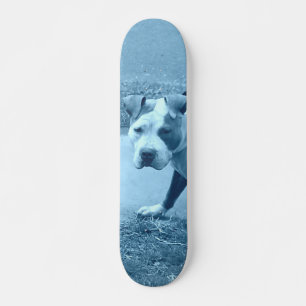 Blauw pit bull skateboard