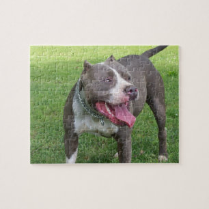 BLAUW PITBULL PUZZLE LEGPUZZEL