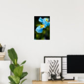 Blauw Poster van papaver (Thuiskantoor)