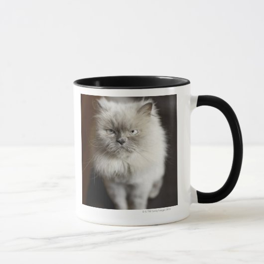 Blauw punt Himalayan Kat ziet er geïrriteerd uit Mok (Rechts)