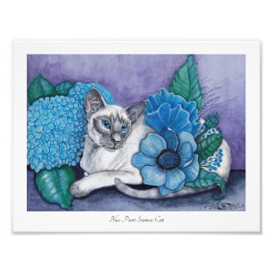Blauw punt Siamese fotoafdruk Foto Afdruk