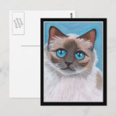 Blauw ragdoll kattenportret briefkaart (Voorkant / Achterkant)