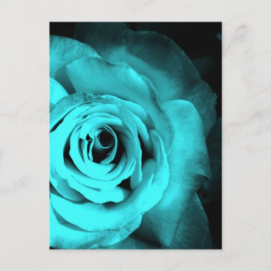 Blauw Roos Briefkaart (Voorkant)