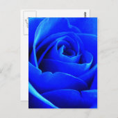 Blauw Roos Briefkaart (Voorkant / Achterkant)