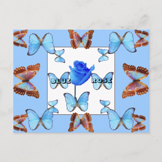 BLAUW ROOS! Briefkaart (Voorkant)