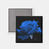 Blauw Roos Magneet (Voorkant / Achterkant)