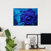 Blauw Roos met dauwdruppels Poster (Thuiskantoor)