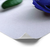 Blauw Roos - Poster (Hoek)