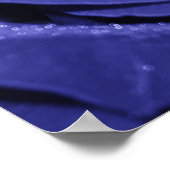 Blauw Roos Poster (Hoek)