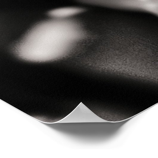 Blauw roos poster (Hoek)