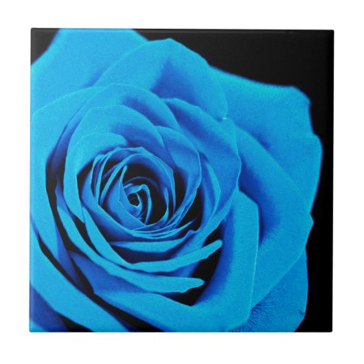 Blauw roos tegeltje (Voorkant)