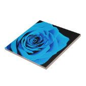 Blauw roos tegeltje (Zijkant)