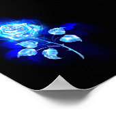 Blauw Roos verbranden Poster (Hoek)