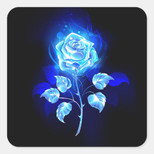 Blauw Roos verbranden Vierkante Sticker