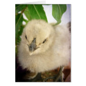 Blauw schouderblad Wenskaart (Voorkant)