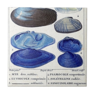 blauw seizoen botanische kunst in de Franse oceaa Tegeltje