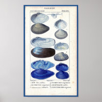 blauw seizoen botanische zeekaart