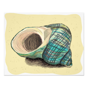 blauw Shell Foto Afdruk