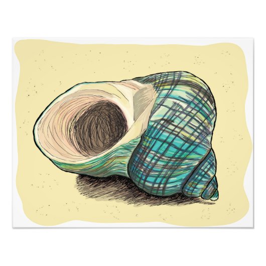 blauw Shell Foto Afdruk (Voorkant)