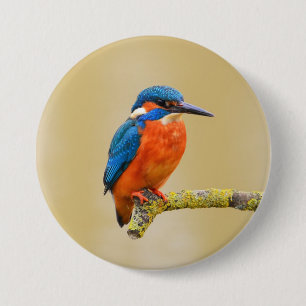 Blauw Sinaasappel Kingfisher Bird Ronde Button 7,6 Cm