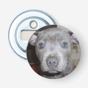 Blauw Staffy Puppy Face, Magnetic Bottle Opener. Button Flesopener