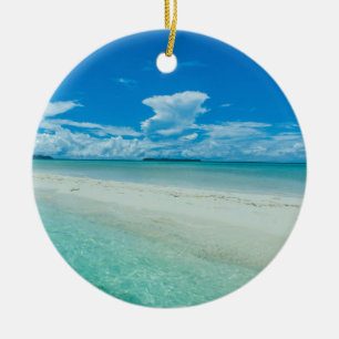 Blauw tropisch zeegezicht, Palau Keramisch Ornament