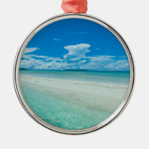 Blauw tropisch zeegezicht, Palau Metalen Ornament