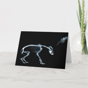 Blauw van de Hond van de Skeletten van de Kaart