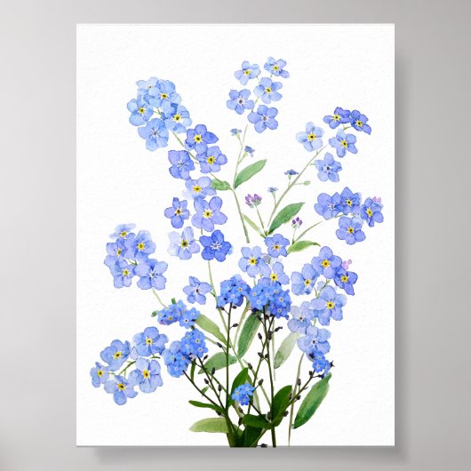 Blauw Vergeet mij niet waterverf Poster (Voorkant)