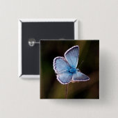 Blauw vierkant vierkant vierkante button 5,1 cm (Voorkant /achterkant)