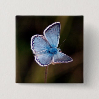 Blauw vierkant vierkant vierkante button 5,1 cm
