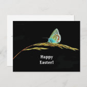  blauw vlinder gras Foto Pasen Briefkaart (Voorkant / Achterkant)