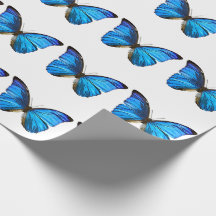 Blauw vlindervloerpapier