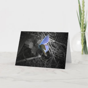 blauw vlinderwenskaart kaart