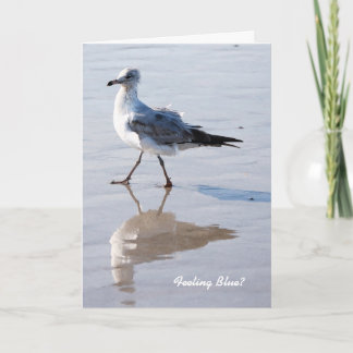 Blauw voelen, Missend u kaardt Kaart