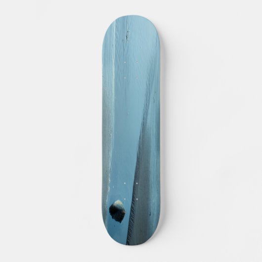 BLAUW WATER SKATEBOARD (Voorkant)