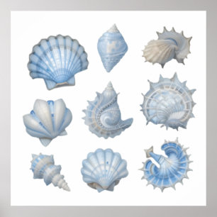 Blauw & Wit Aquarel Schelpen – Ocean Kinderkamer Poster