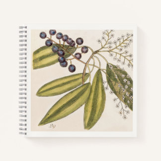 Blauw & Wit Botanisch 18e-eeuws illustratie Notitieboek