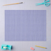 Blauw Wit Geruit Tissuepapier (Craft)