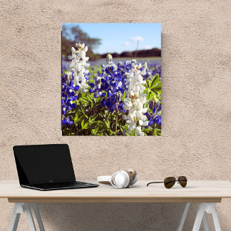 Blauw-witte Bluebonnets Landschap Satijn Finish Foto Afdruk