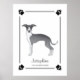 Blauw-Witte Italiaanse Greyhound Met Pootjes & Tek Poster