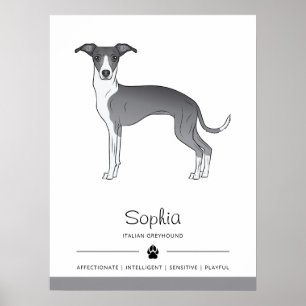 Blauw-Witte Italiaanse Windhond Met Aangepaste Tek Poster