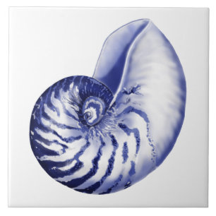 Blauw-witte nautilus shell keramische tegel tegeltje